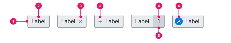 Image of a Pill's anatomy 